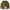 The Shevlin Hoodie Bonus Pack