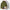 The Shevlin Hoodie Bonus Pack
