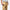 The Torra Pant
