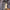 Durable Water Repellent