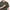 The Martin Pocket Tee Bonus Pack (4 for 3)